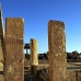 temple_habu_lux_v_0195_egy2455.jpg